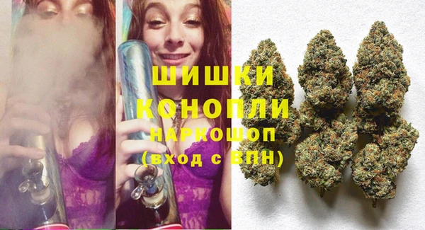 PSILOCYBIN Вязьма