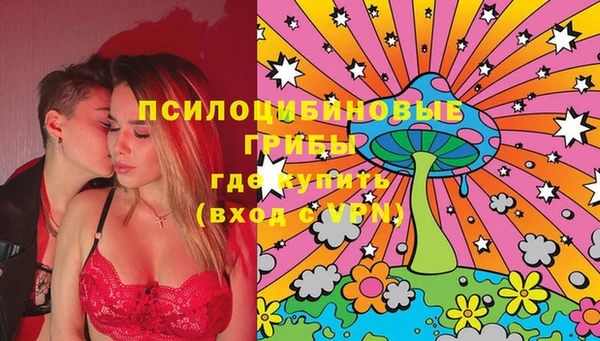 PSILOCYBIN Вязьма