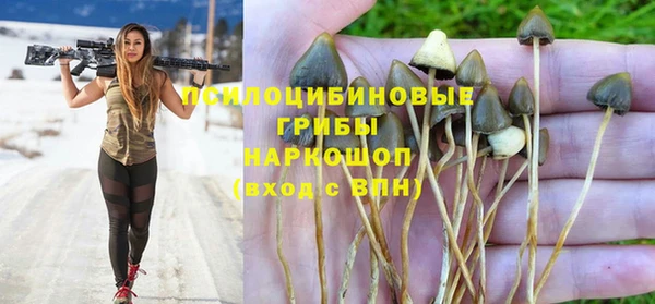 спайс Вяземский