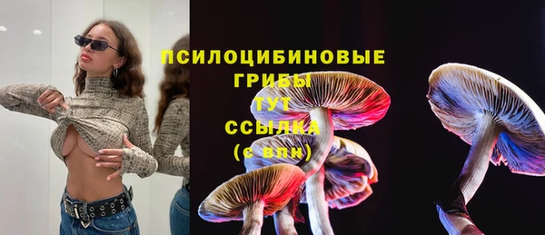 спайс Вяземский