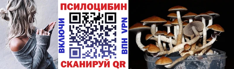 продажа наркотиков  Любань  Псилоцибиновые грибы MAGIC MUSHROOMS 